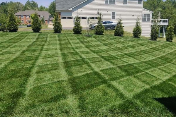Grass Cutting - ES Landscaping LLC