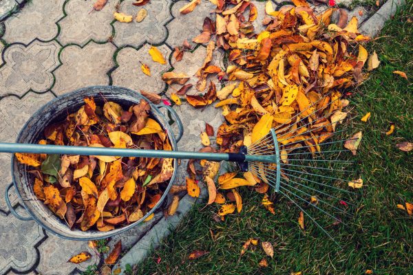 Spring and Fall Clean-up - ES Landscaping LLC