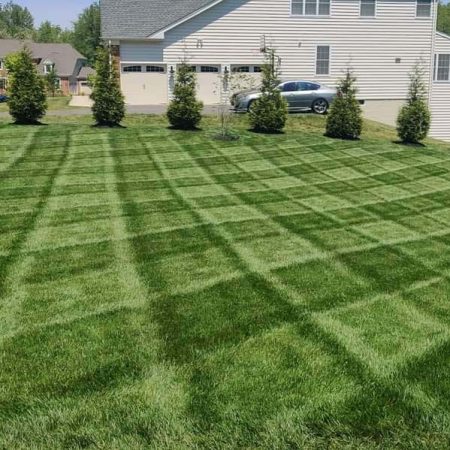 Grass Cutting - ES Landscaping LLC