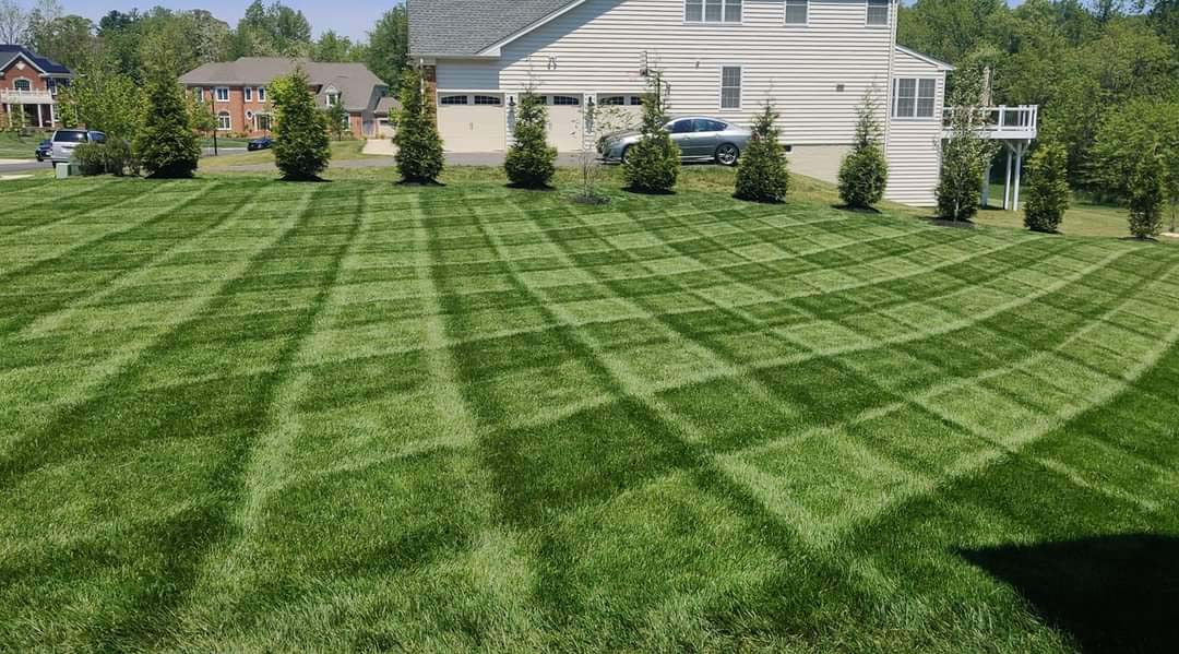 Grass Cutting - ES Landscaping LLC